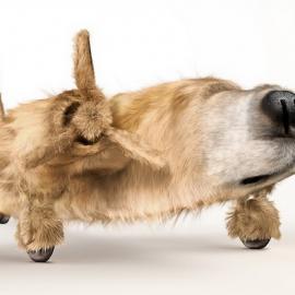 Собаки и самолеты в остроумном проекте продакшн студии Ink