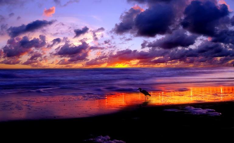 Красочный восход на берегу моря
