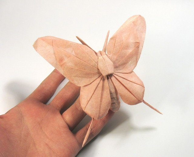 Невероятно красивые оригами. Автор Джереми Кул (Jeremy Kool)