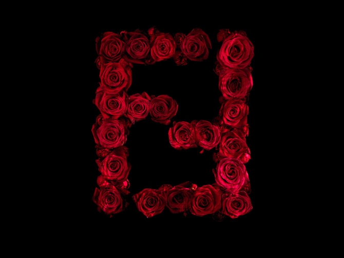 Логотипы из роз. Фотограф Alexander James