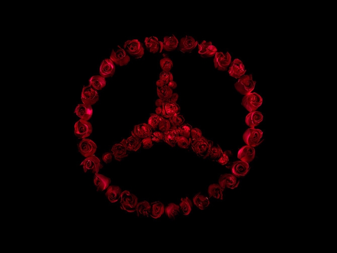 Логотипы из роз. Фотограф Alexander James