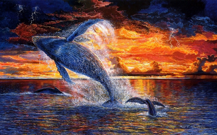 День кита 19 февраля